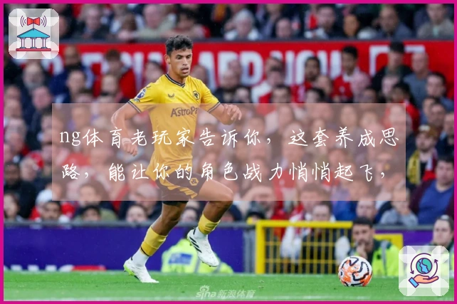 ng体育老玩家告诉你，这套养成思路，能让你的角色战力悄悄起飞，赶紧试试！