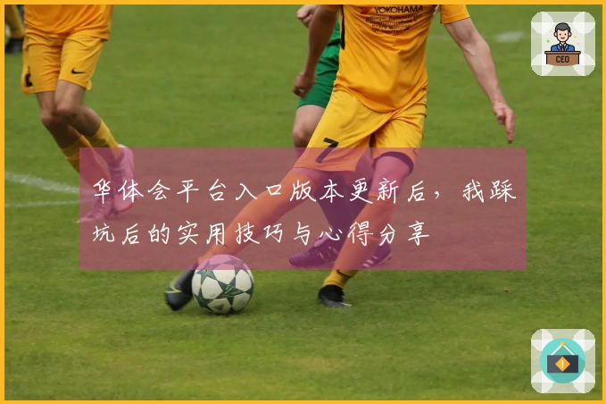 华体会平台入口版本更新后，我踩坑后的实用技巧与心得分享