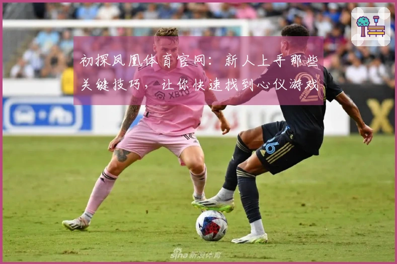 初探凤凰体育官网：新人上手那些关键技巧，让你快速找到心仪游戏！